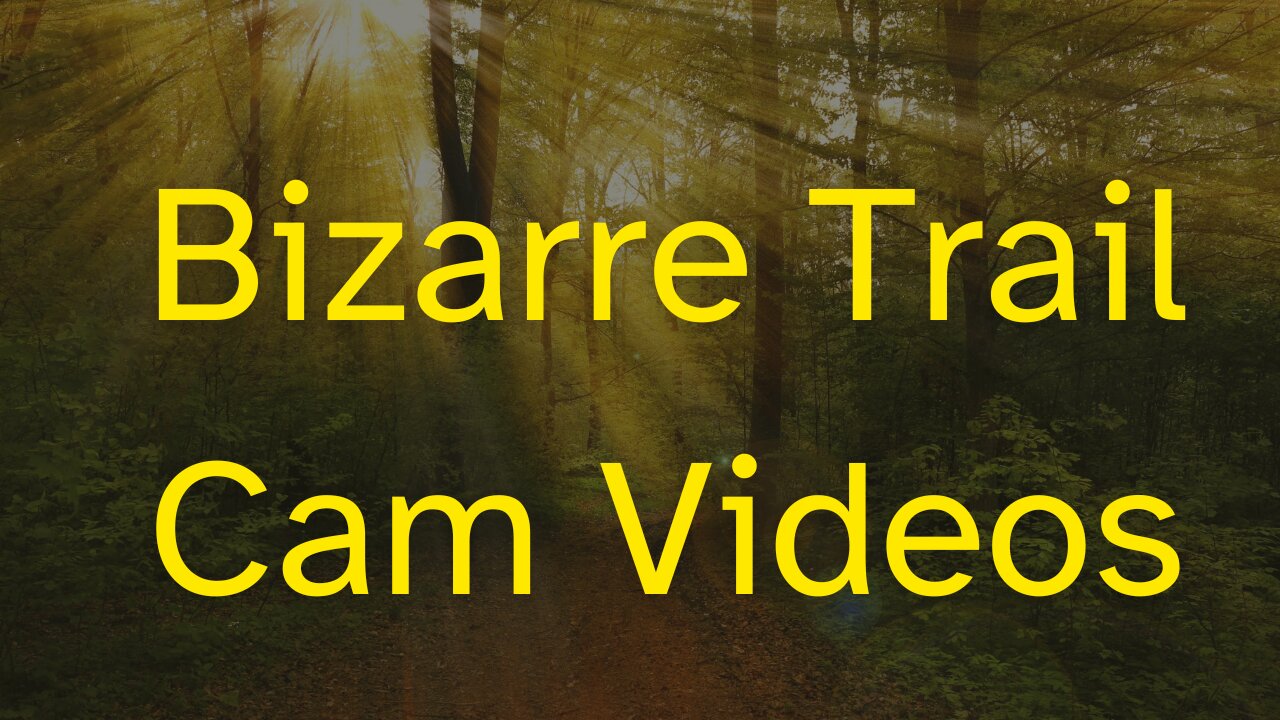 Bizarre Trail Camera Videos