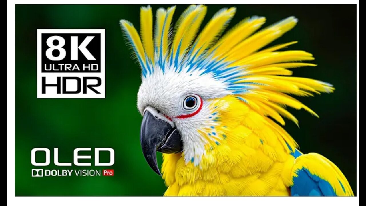 4k 8k FULL HDR VIDEO 🔥/DOLBY VISION 🌍