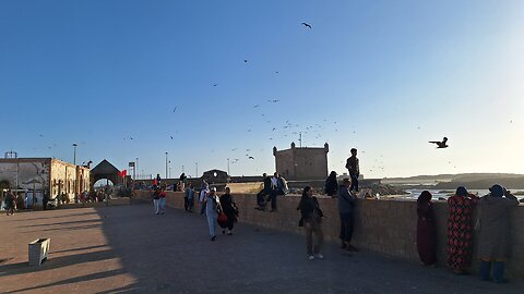 "Essaouira Escape | Ocean Breeze, Medina Vibes & Moroccan Charm 🌊🇲🇦"