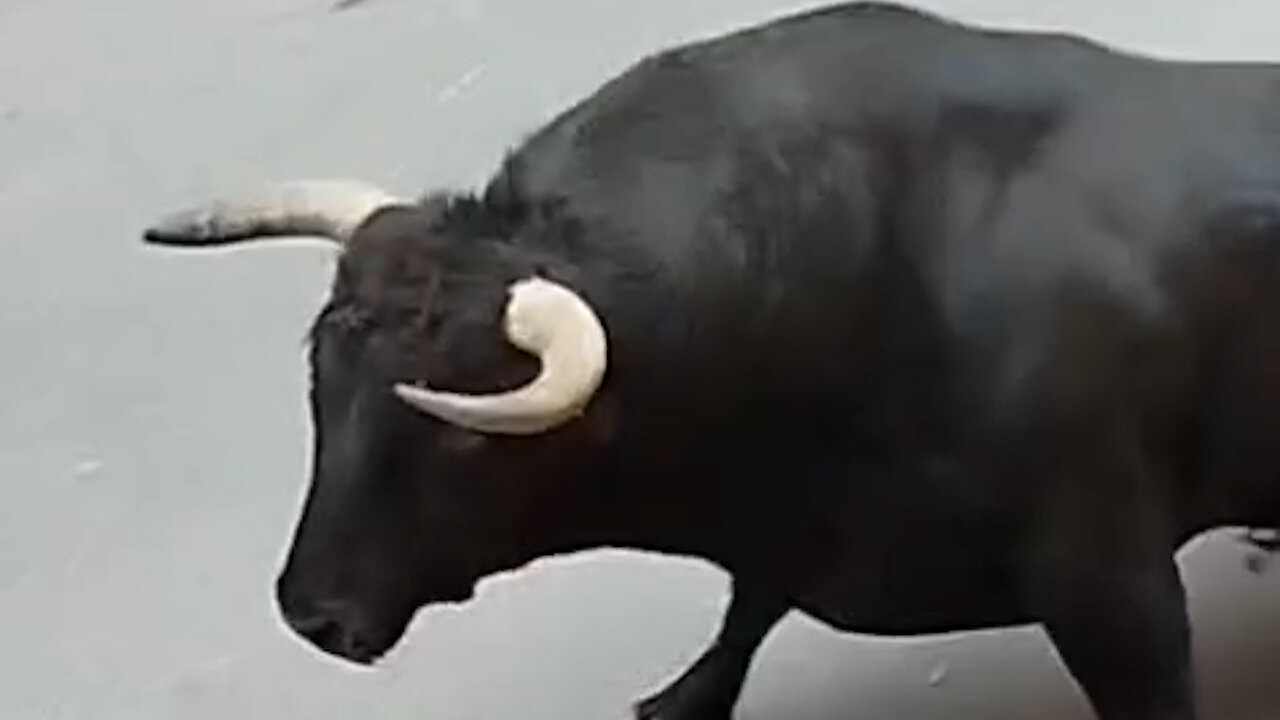 2025 05 10 ONDA LOS CHOSPES Nº58