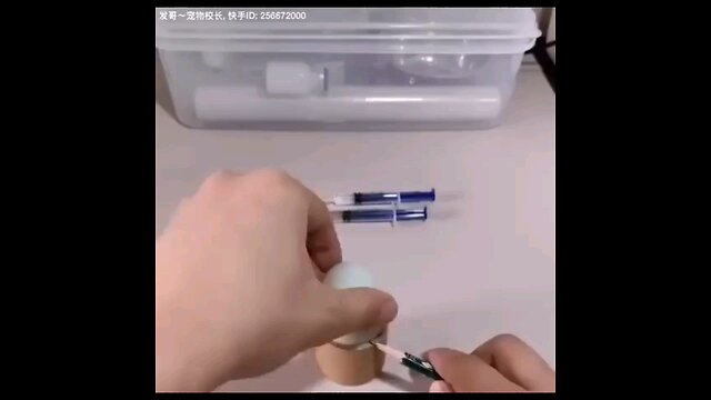 He Saved a Duckling in a Fake Egg 🐣 | Incredible Story