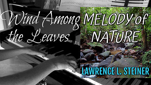 𝑊𝐼𝑁𝐷 𝐴𝑀𝑂𝑁𝐺 𝑇𝐻𝐸 𝐿𝐸𝐴𝑉𝐸𝑆 | Melody of Nature