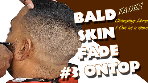 Fresh Transition