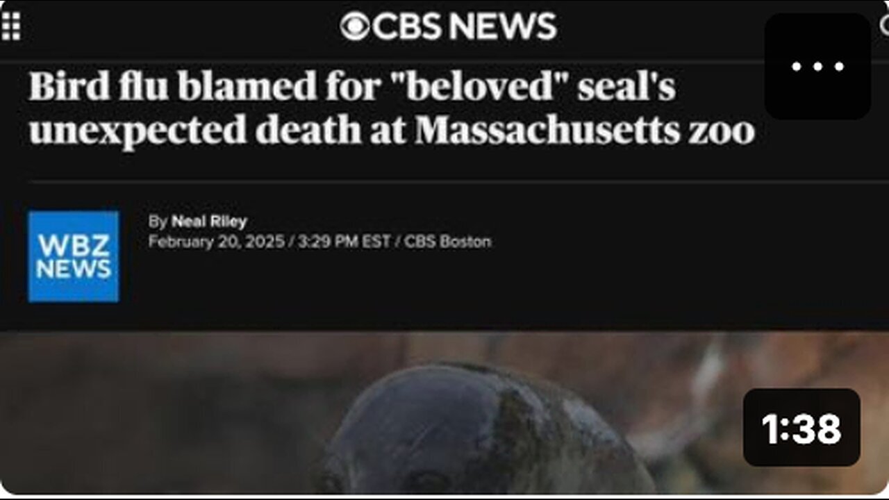 "Unmasking the Media: A Deep Dive into The Mockery of Today's News Broadcasting"