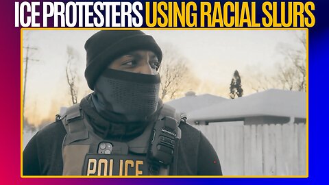 Minnesota ICE Protester Calls Federal Agent the N Word