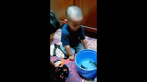 live lake fish🐟 🐠 🇺🇸