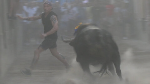 2025 08 08 PETRÉS PEÑAJARA DE CASTA JIJONA Nº7