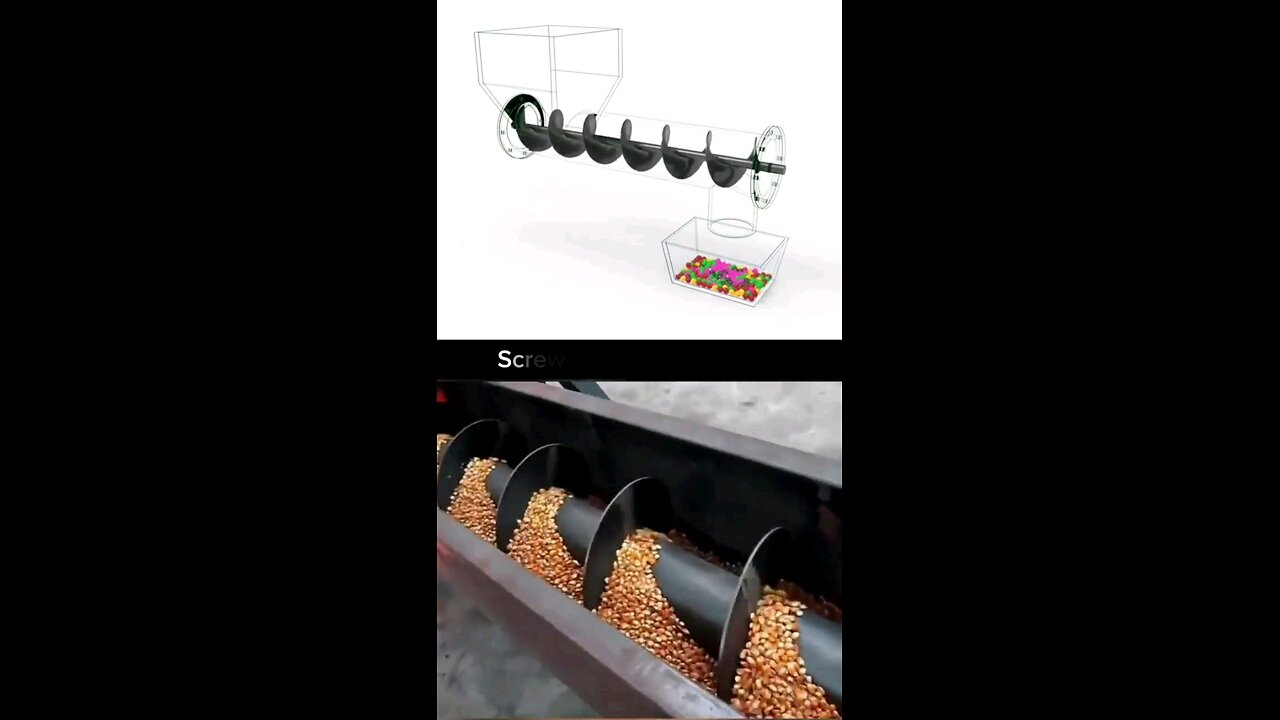 Screw Conveyor
