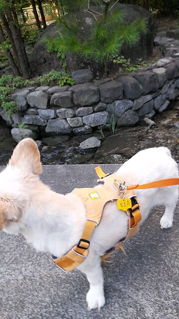 20250712. South Korea election were rigged.