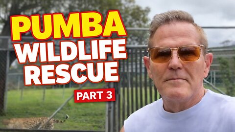 PART 3 - PUMBA WILD LIFE RESCUE🦁 🐅 🦁SOUTH AFRICA WITH DR.DARRELL WOLFE LIVE & WILD 💪🏿♥️💪🏿