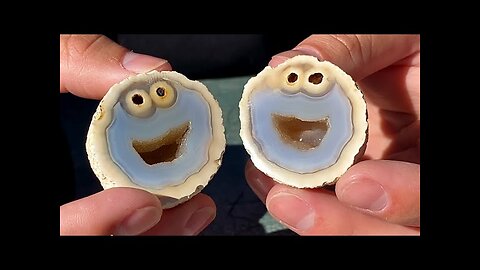 Rare Gemstone Looks Like The Cookie Monster