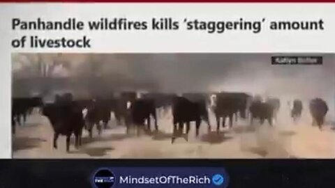 Unveiling the Intriguing Coincidences behind Texas Wildfires: A Deep Dive