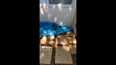 Nice day on Facebook marketplace shopping