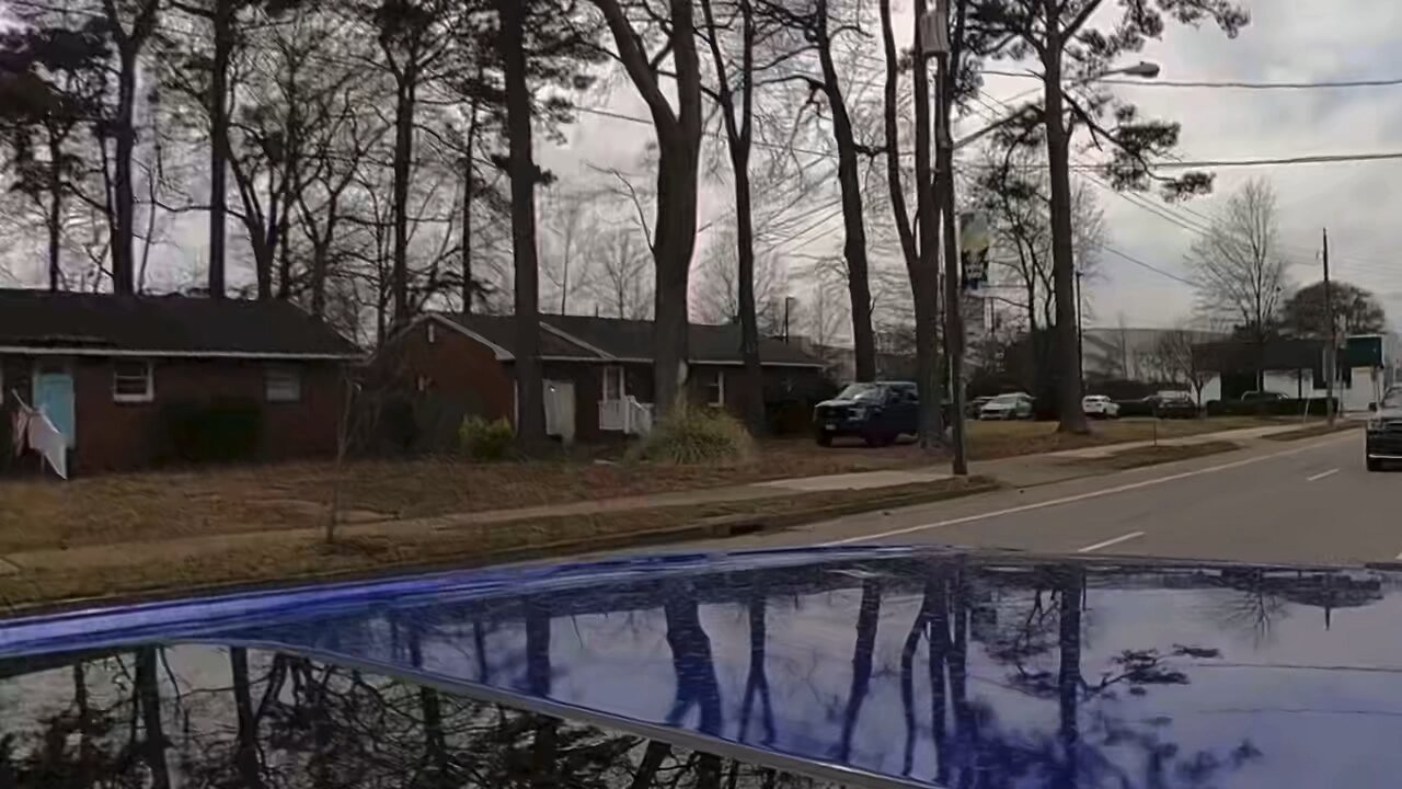 Blasian Babies Family Drive From Norfolk To The Virginia Beach Aquarium In The 2024 Acura TLX A-Spec
