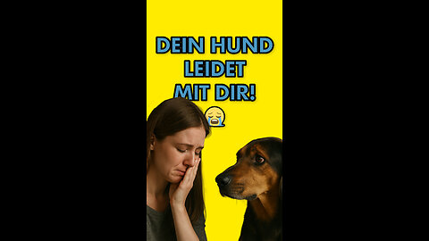 Dein Hund leidet mit dir!