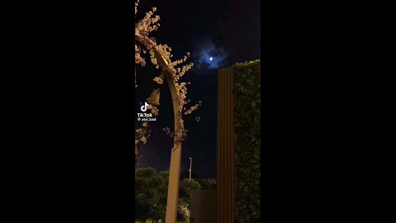 لاإله إلا الله محمد رسول الله