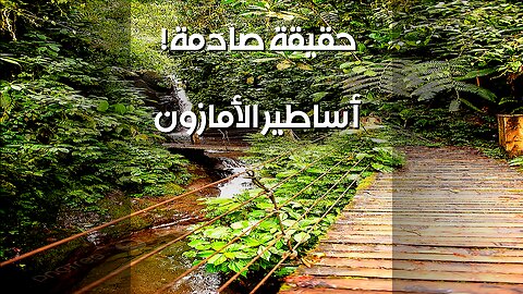 أساطير الأمازون : حقيقة أم خيال؟ اكتشافات صادمة!