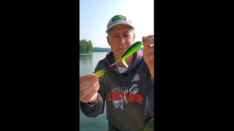 Spinjack