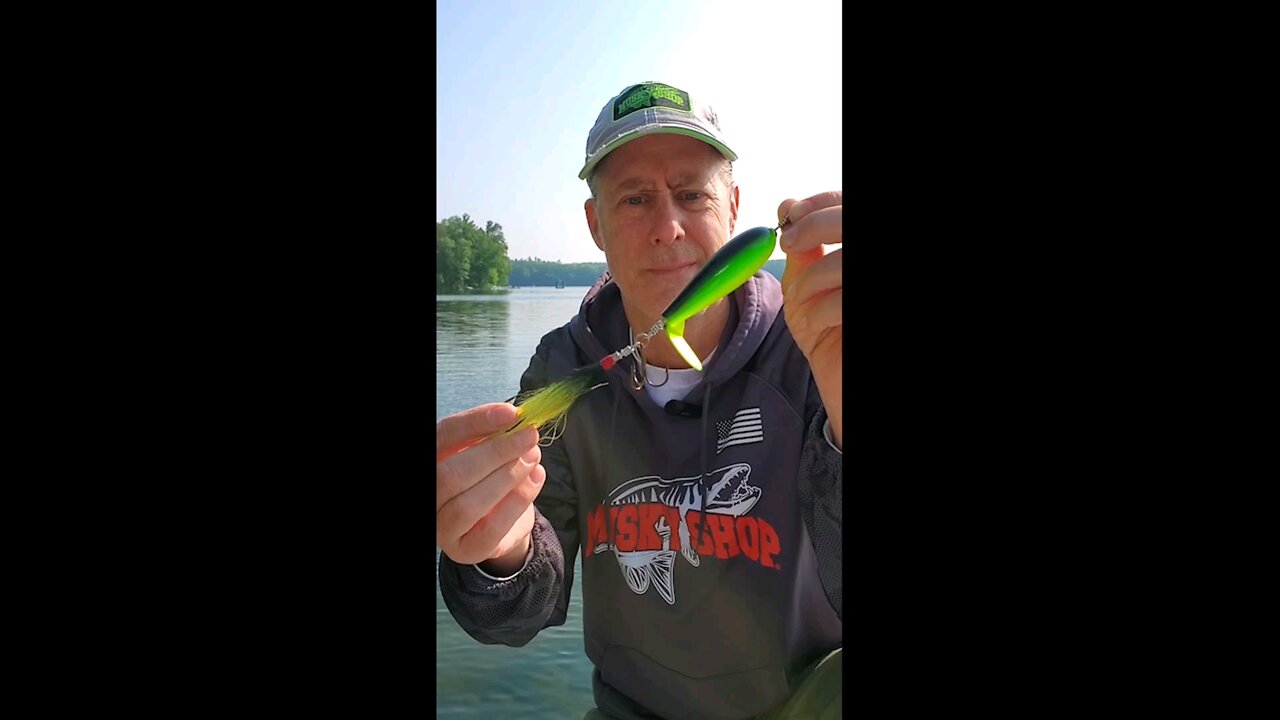 Spinjack