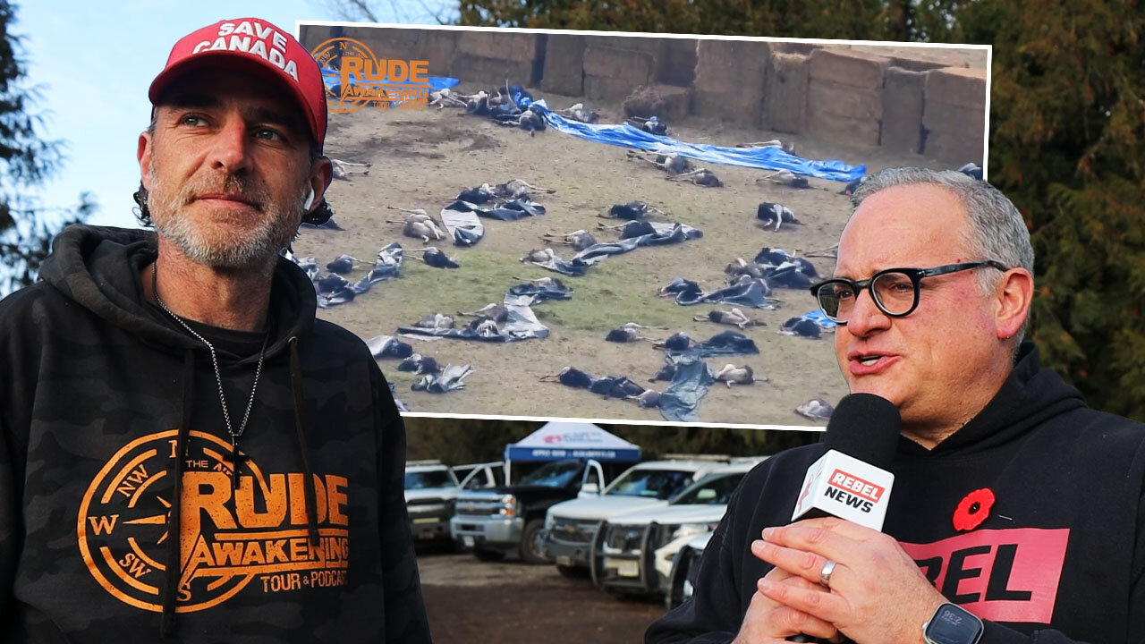 Chris Dacey alleges RCMP 'drone harassment' at ostrich farm