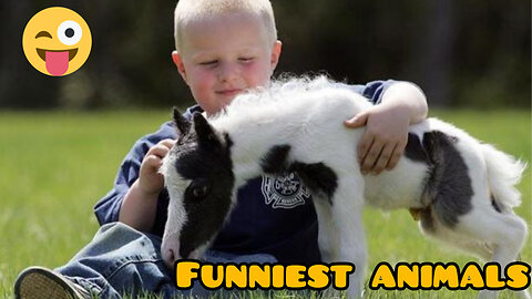 Funniest animals 🐶🐈