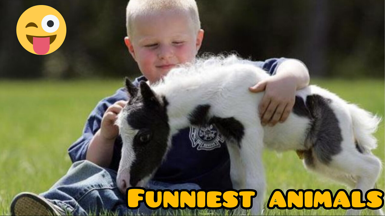 Funniest animals 🐶🐈