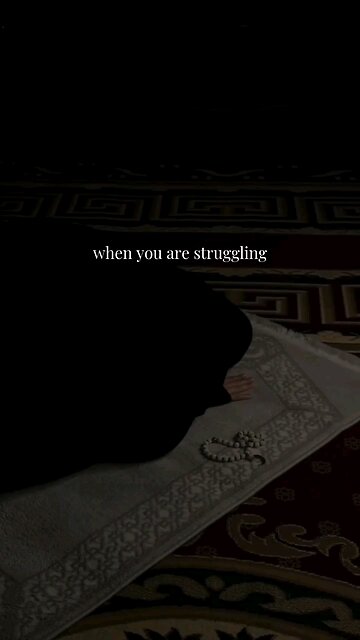 We need to search for the righ path.Islam is the right way #islamic #islam #quran #muslims #القران