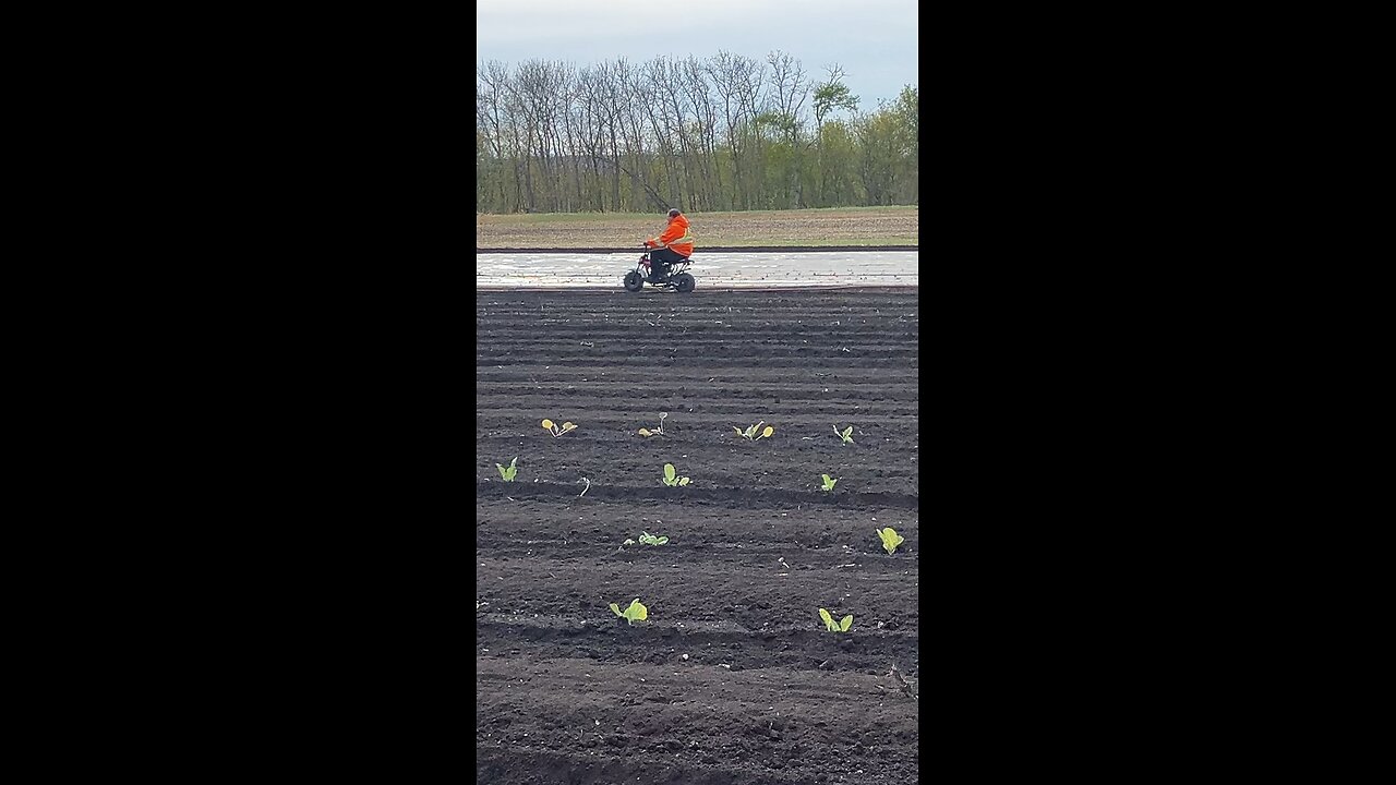 tim minibike may 18 2025 part1