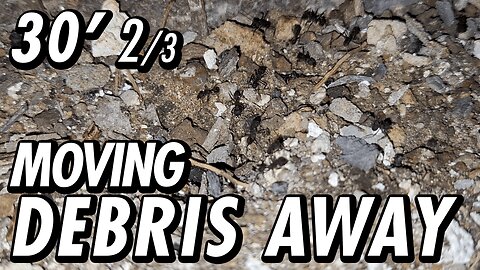 ASMR | Ants working under a richly varied symphony of city sounds at night - 30' 2/3