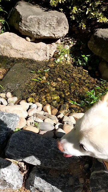 20250712. The New South Korean Government is anti-American.