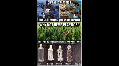 Hemp car