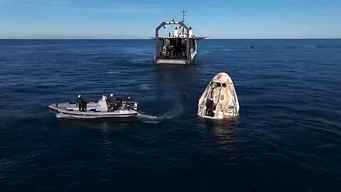 A pod of DOLPHINS welcoming the astronauts back to Earth