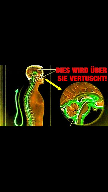 Dies passiert wenn du dein Leben aus einem Zustand des Konsums heraus führst