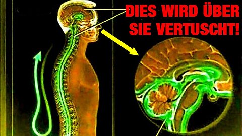 Dies passiert wenn du dein Leben aus einem Zustand des Konsums heraus führst