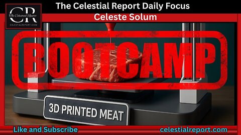 3D Meat Bootcamp