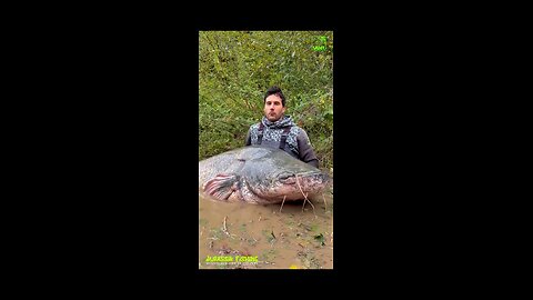 Big fish 🐟
