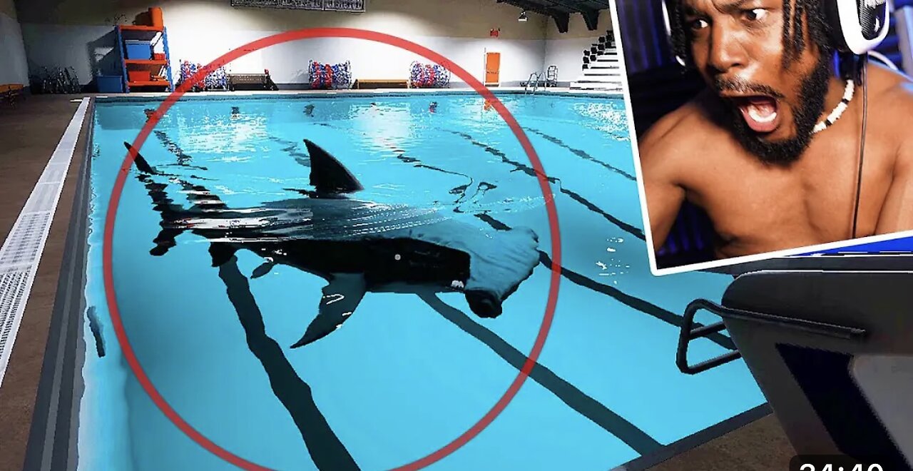 MY DEEPEST FEAR. There's a SHARK in the POOL [Sharks And Minnows]
