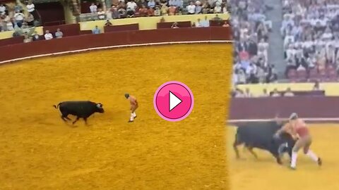 Bullfight Tragedy: Forcado Manuel Maria Trindade Dies After Debut Accident