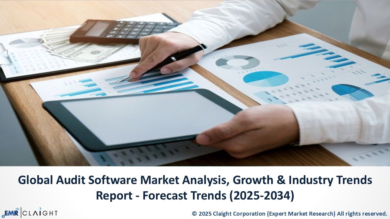 Global Audit Software Market Forecast 2025-2034 | Key Drivers & Insights
