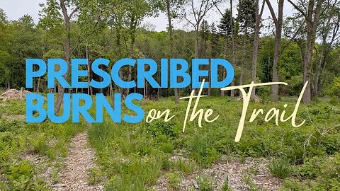 Hiking Through Prescribed BURNS in Wege Natural Area | Hike POV, ASMR