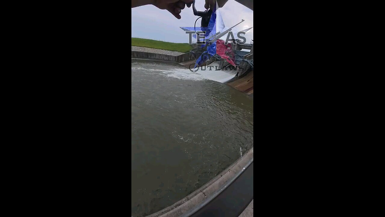 catfishinf and whitebass fishing by a dum