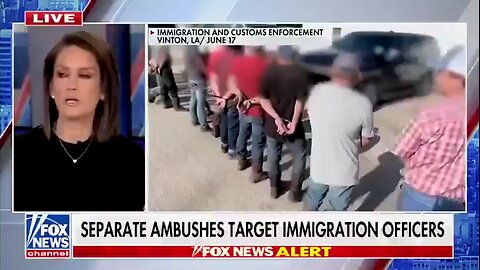 Fox News’s Jessica Tarlov says the American people “didn’t vote for” ICE to deport illegals