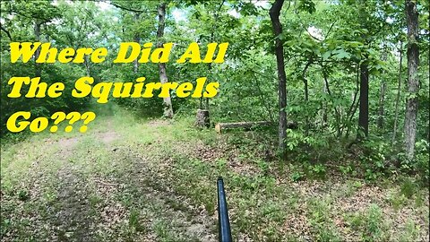Squirrel Hunting In Missouri