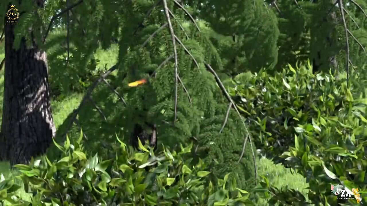 Masha and Bear Cartoons