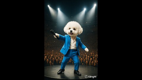 Dog Show