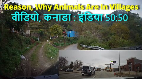 Tigers And Bears Are In Town, Why?जानें क्यों जानवर जंगलों की बजाय गांव में खाना तलाशते हैं #garhwal