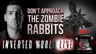 Don't Approach the Zombie Rabbits | Ep. 95