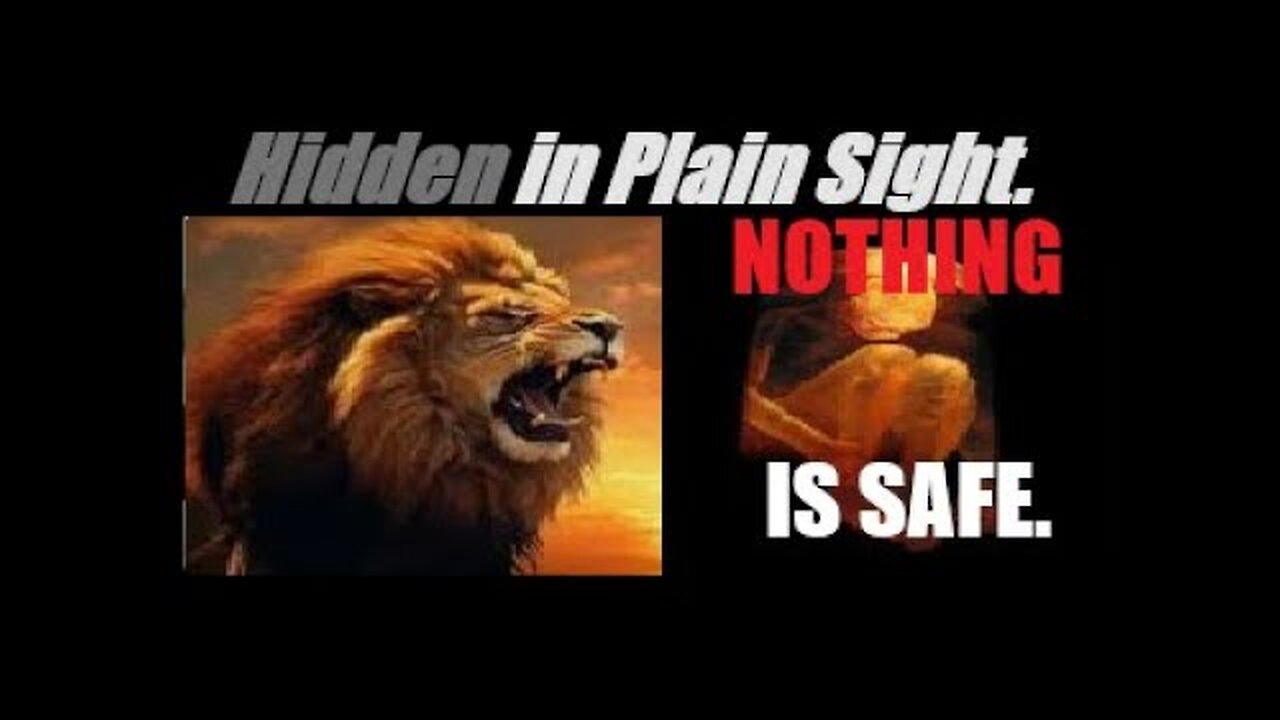 MARKETS AND BEYOND THE MARKETS... (NOTHING IS SAFE). Mannarino