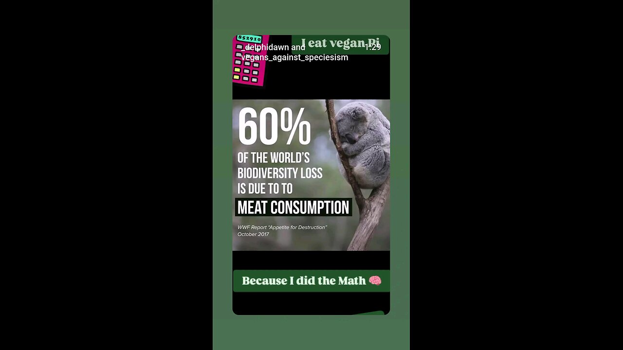 I Eat Vegan Pi - Because I Did the Math 🧠