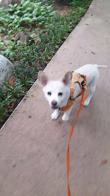 20250617. I believe God. Father Almighty.